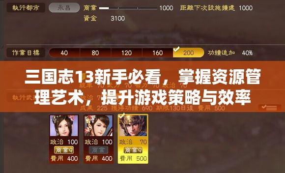 三国志13新手必看，掌握资源管理艺术，提升游戏策略与效率