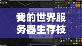 我的世界服务器生存技巧与策略，实现快速发展的独家心得分享