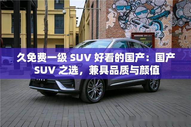 久免费一级 SUV 好看的国产：国产 SUV 之选，兼具品质与颜值