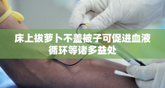 床上拔萝卜不盖被子可促进血液循环等诸多益处