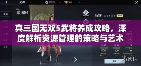 真三国无双5武将养成攻略，深度解析资源管理的策略与艺术