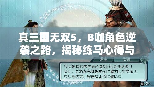 真三国无双5，B咖角色逆袭之路，揭秘练马心得与资源管理的高效策略