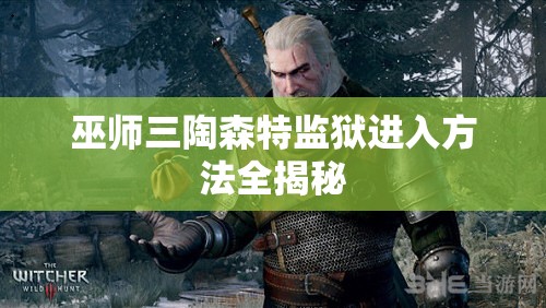 巫师三陶森特监狱进入方法全揭秘