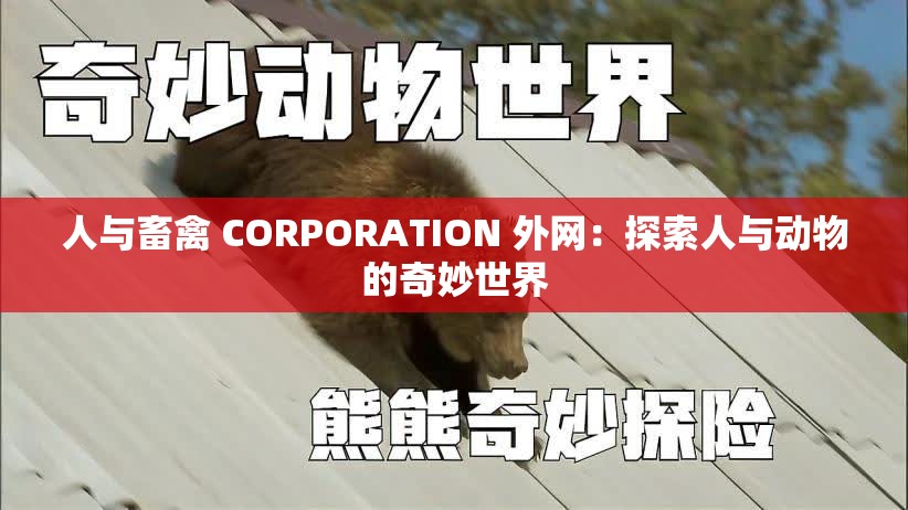 人与畜禽 CORPORATION 外网：探索人与动物的奇妙世界