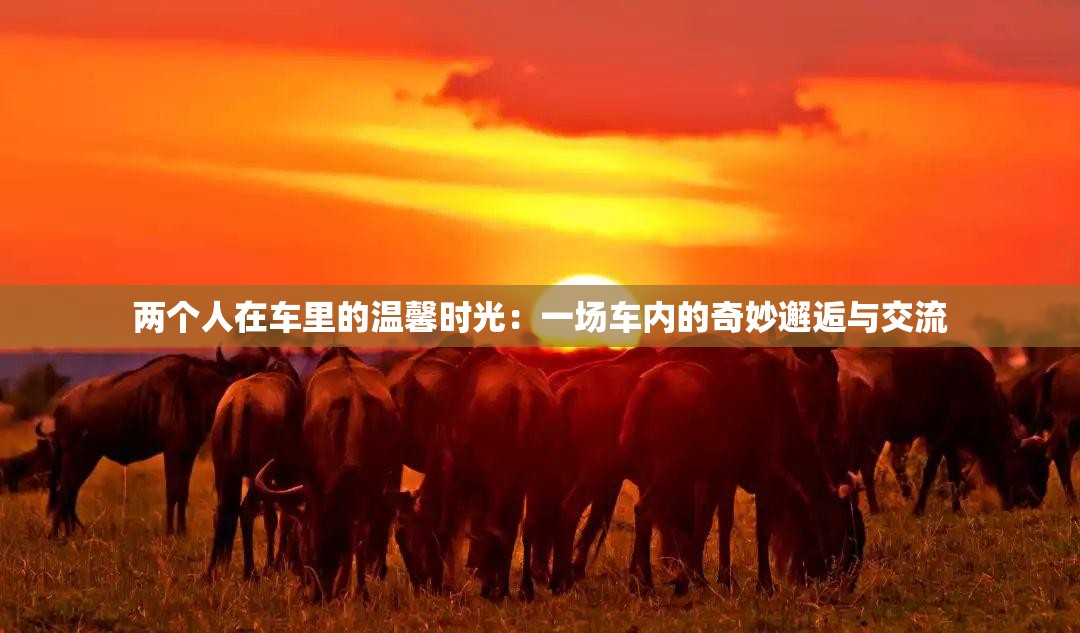 两个人在车里的温馨时光：一场车内的奇妙邂逅与交流