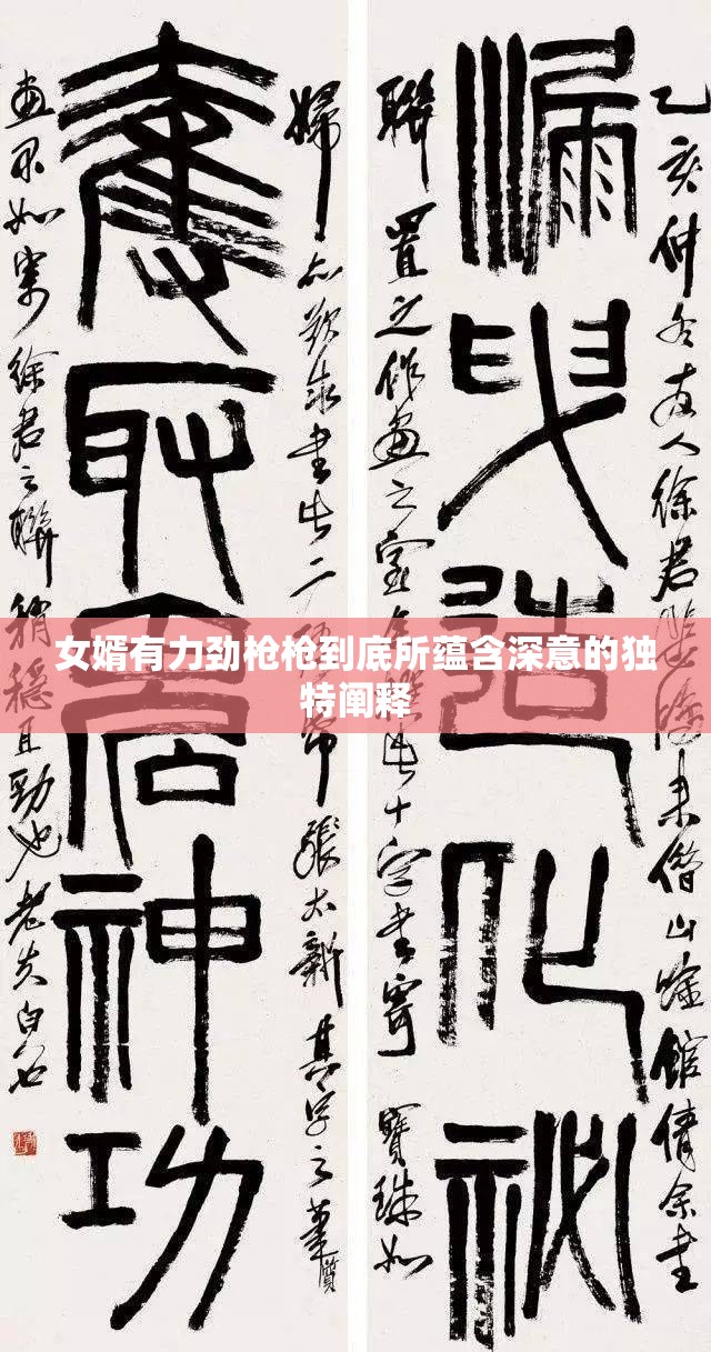 女婿有力劲枪枪到底所蕴含深意的独特阐释