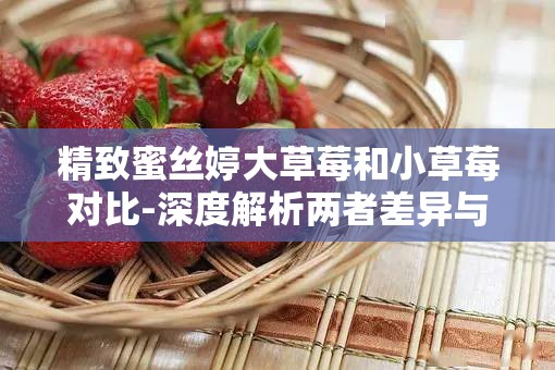 精致蜜丝婷大草莓和小草莓对比-深度解析两者差异与特色