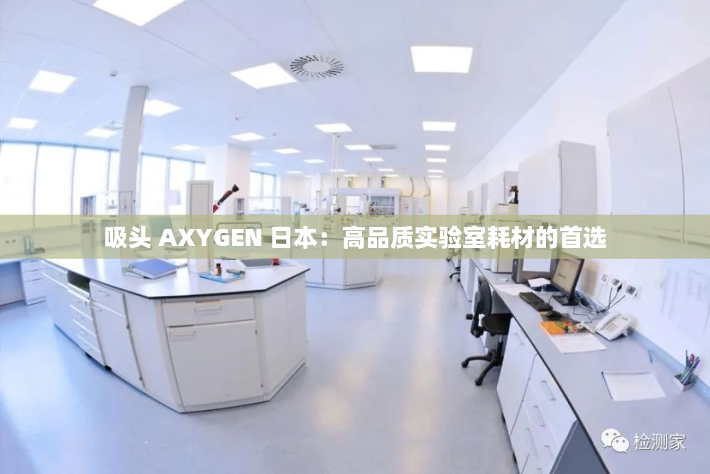 吸头 AXYGEN 日本：高品质实验室耗材的首选
