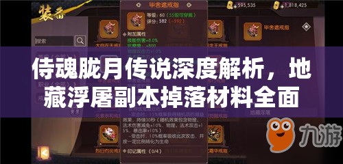 侍魂胧月传说深度解析，地藏浮屠副本掉落材料全面大揭秘