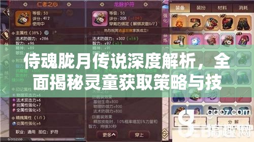 侍魂胧月传说深度解析，全面揭秘灵童获取策略与技巧