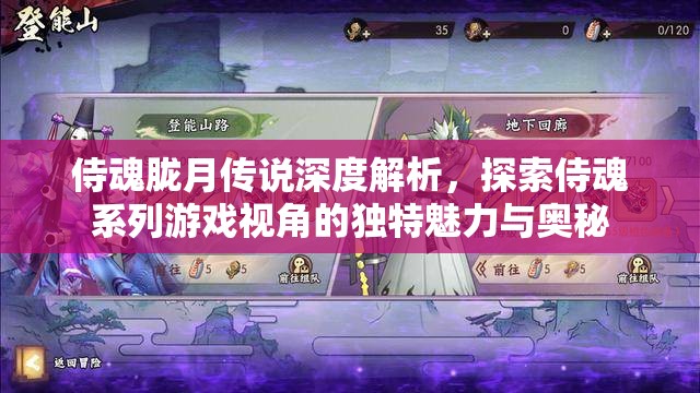 侍魂胧月传说深度解析，探索侍魂系列游戏视角的独特魅力与奥秘