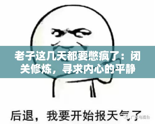 老子这几天都要憋疯了：闭关修炼，寻求内心的平静