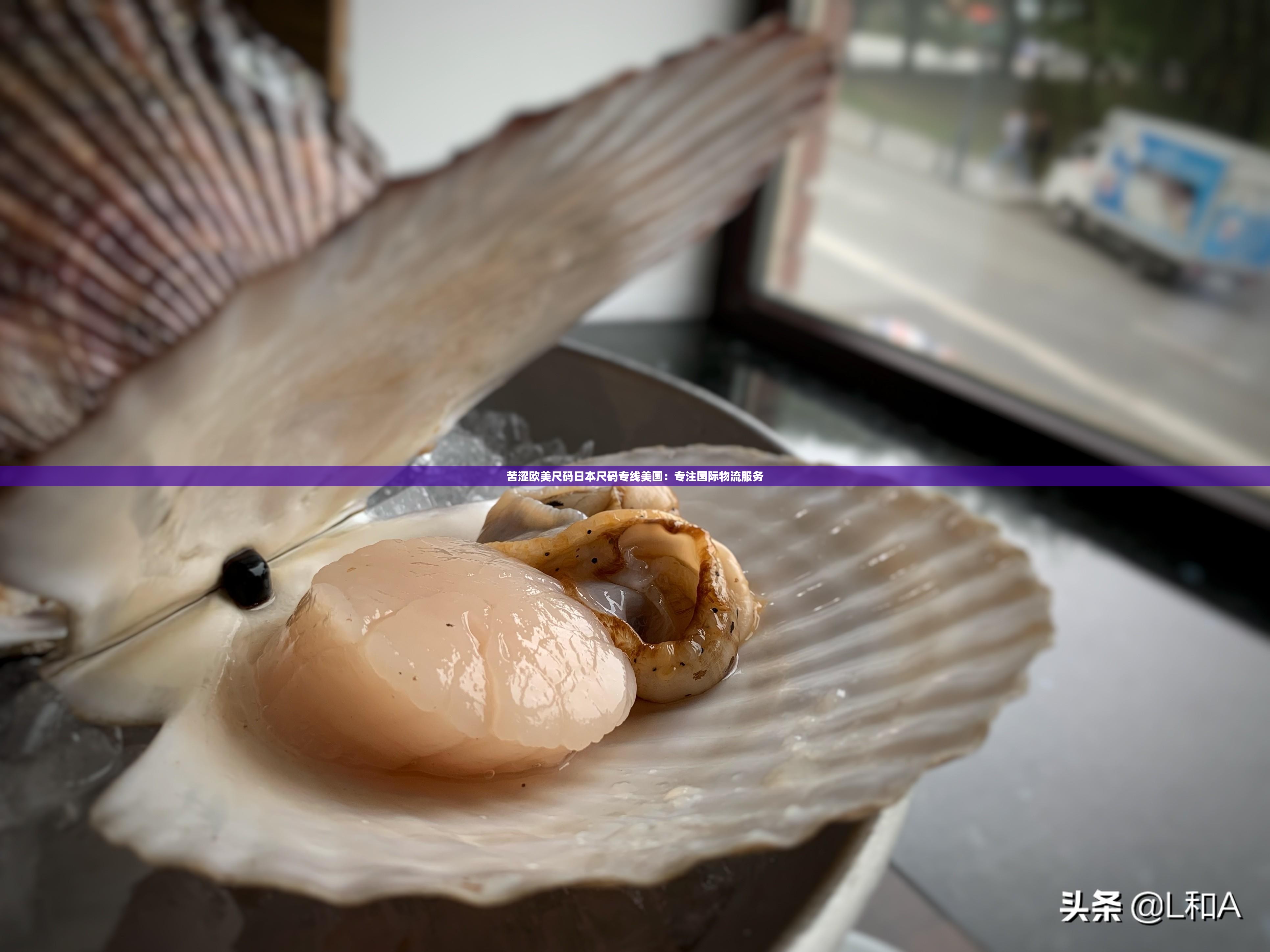 苦涩欧美尺码日本尺码专线美国：专注国际物流服务