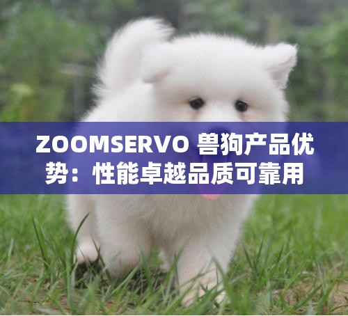 ZOOMSERVO 兽狗产品优势：性能卓越品质可靠用途广泛
