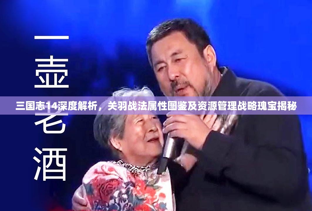 三国志14深度解析，关羽战法属性图鉴及资源管理战略瑰宝揭秘