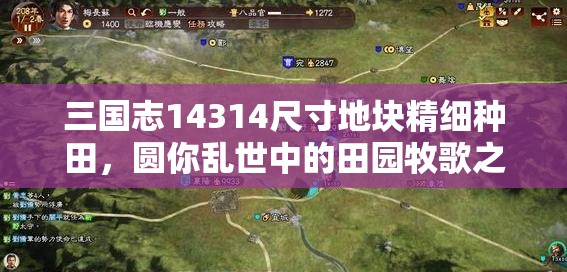三国志14314尺寸地块精细种田，圆你乱世中的田园牧歌之梦