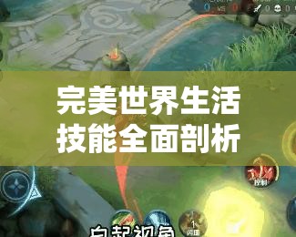 完美世界生活技能全面剖析，掌握技巧，解锁你的全方位生活大师成长之旅