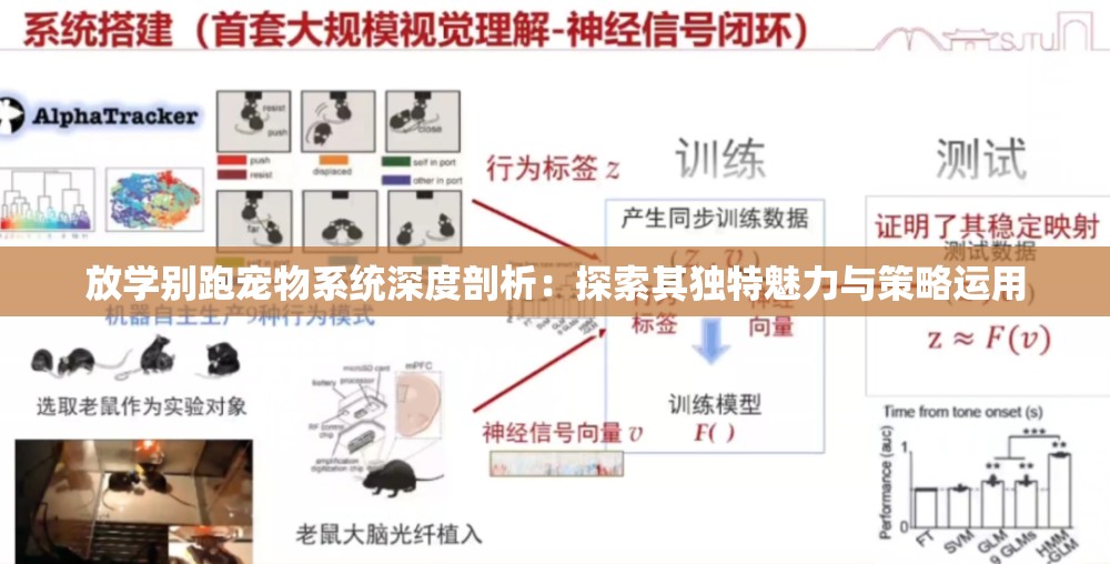 放学别跑宠物系统深度剖析：探索其独特魅力与策略运用