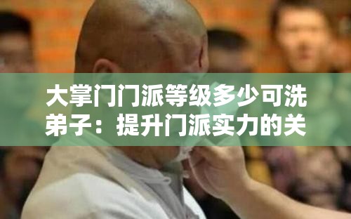大掌门门派等级多少可洗弟子：提升门派实力的关键