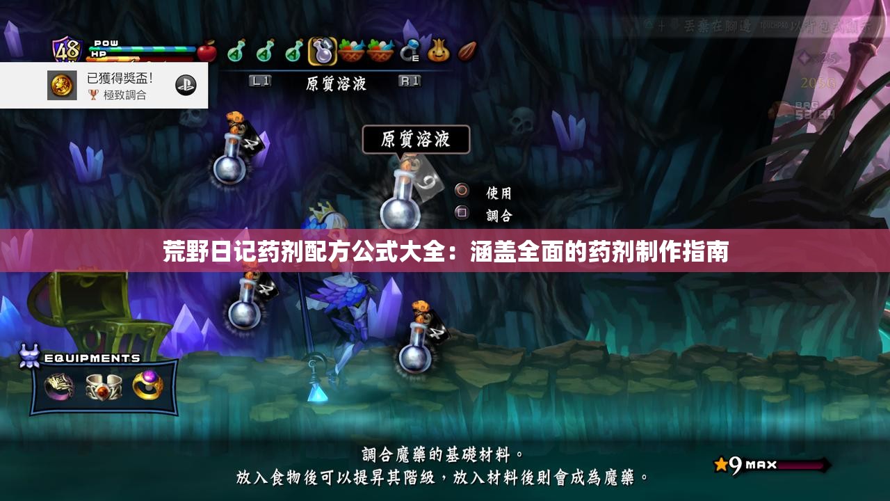 荒野日记药剂配方公式大全：涵盖全面的药剂制作指南