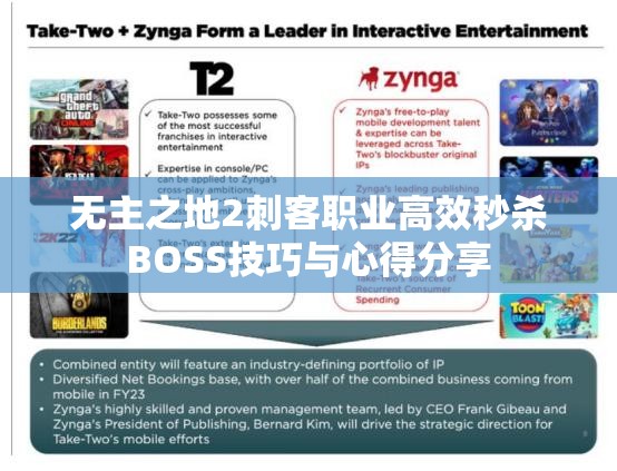 无主之地2刺客职业高效秒杀BOSS技巧与心得分享