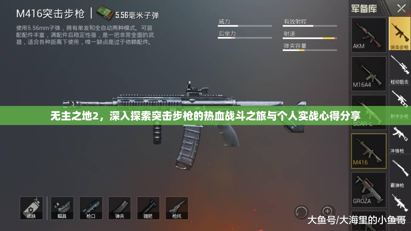 无主之地2，深入探索突击步枪的热血战斗之旅与个人实战心得分享