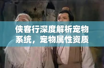 侠客行深度解析宠物系统，宠物属性资质全攻略与资源管理艺术