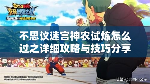 不思议迷宫神农试炼怎么过之详细攻略与技巧分享