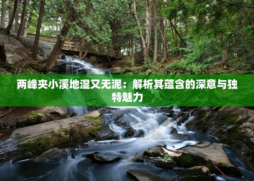两峰夹小溪地湿又无泥：解析其蕴含的深意与独特魅力