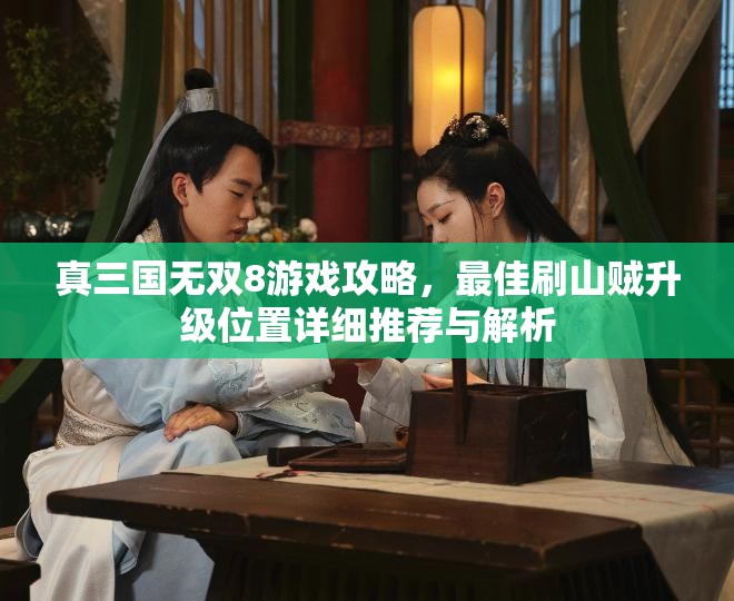 真三国无双8游戏攻略，最佳刷山贼升级位置详细推荐与解析
