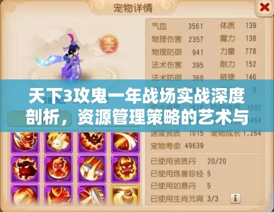 天下3攻鬼一年战场实战深度剖析，资源管理策略的艺术与实践