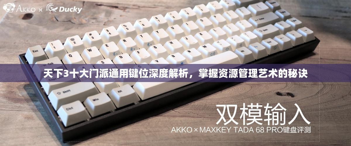天下3十大门派通用键位深度解析，掌握资源管理艺术的秘诀