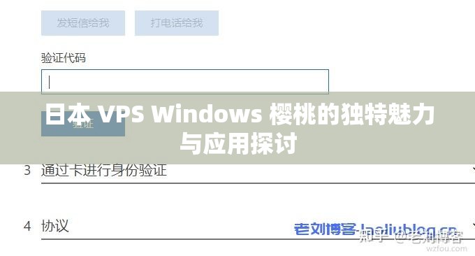 日本 VPS Windows 樱桃的独特魅力与应用探讨