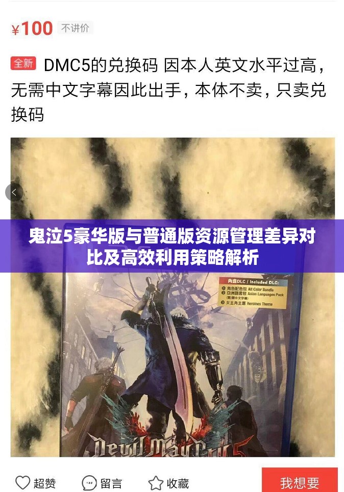 鬼泣5豪华版与普通版资源管理差异对比及高效利用策略解析
