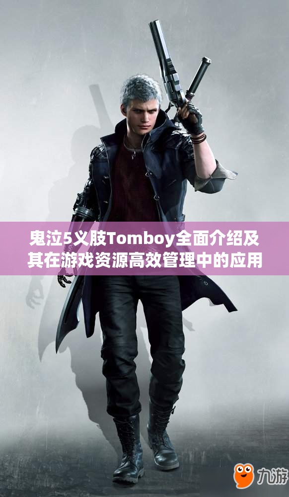 鬼泣5义肢Tomboy全面介绍及其在游戏资源高效管理中的应用策略