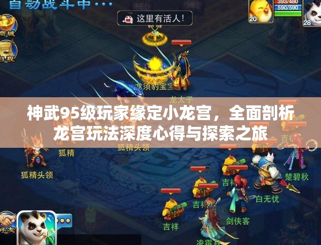 神武95级玩家缘定小龙宫，全面剖析龙宫玩法深度心得与探索之旅
