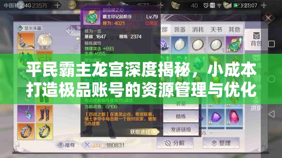 平民霸主龙宫深度揭秘，小成本打造极品账号的资源管理与优化艺术