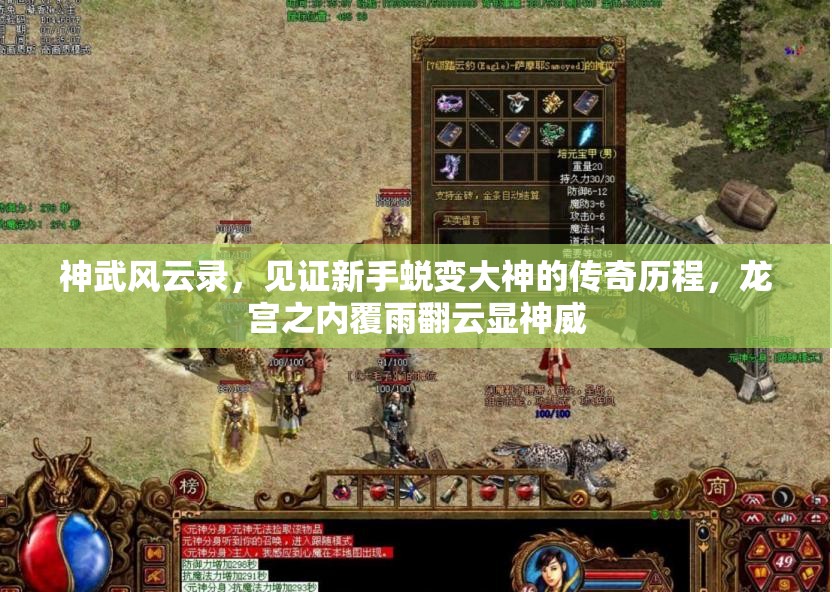 神武风云录，见证新手蜕变大神的传奇历程，龙宫之内覆雨翻云显神威