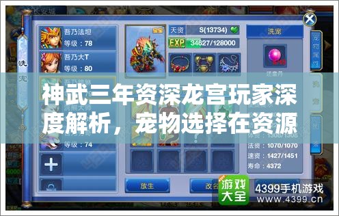 神武三年资深龙宫玩家深度解析，宠物选择在资源管理中的核心策略与实战技巧