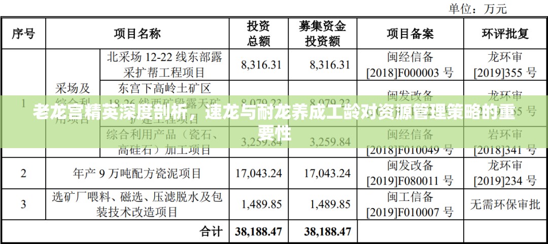 老龙宫精英深度剖析，速龙与耐龙养成工龄对资源管理策略的重要性