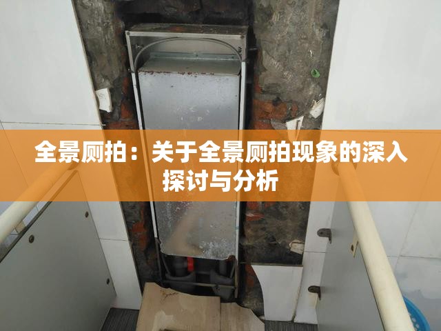 全景厕拍：关于全景厕拍现象的深入探讨与分析