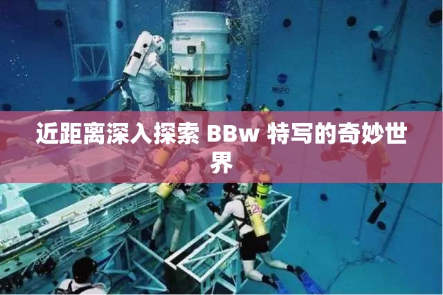 近距离深入探索 BBw 特写的奇妙世界