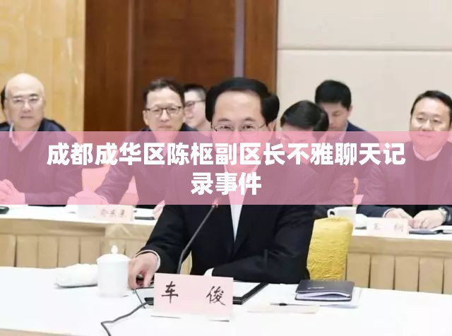 成都成华区陈枢副区长不雅聊天记录事件