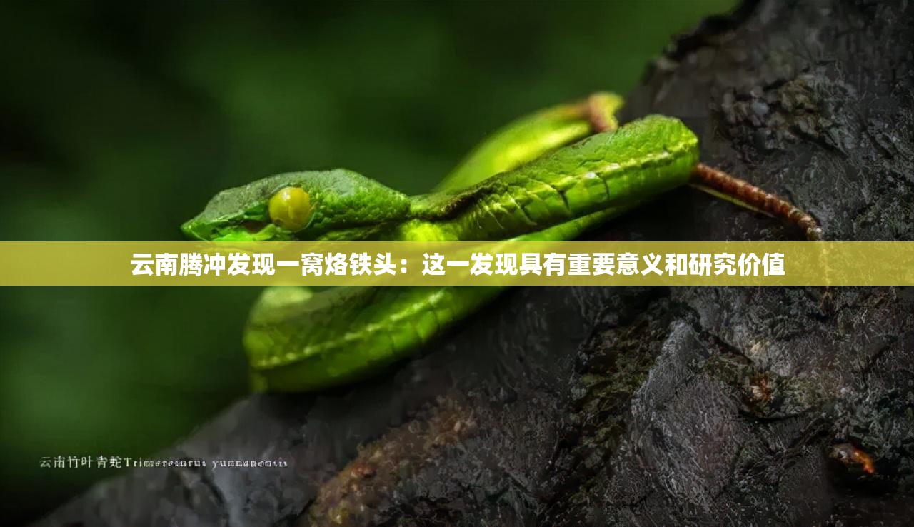 云南腾冲发现一窝烙铁头：这一发现具有重要意义和研究价值