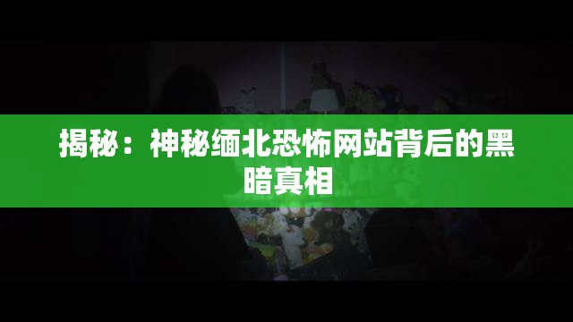 揭秘：神秘缅北恐怖网站背后的黑暗真相