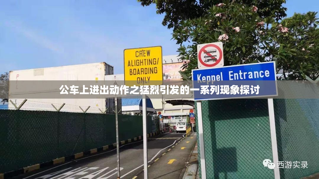 公车上进出动作之猛烈引发的一系列现象探讨