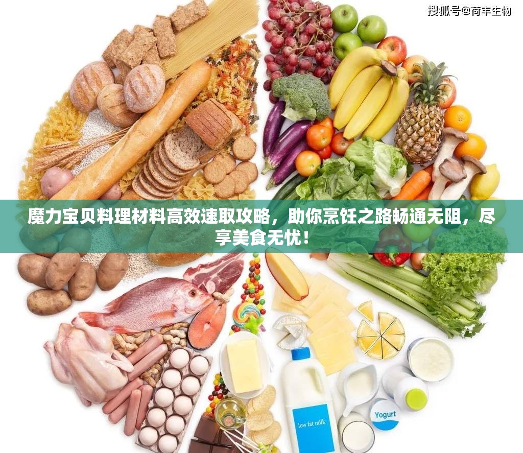 魔力宝贝料理材料高效速取攻略，助你烹饪之路畅通无阻，尽享美食无忧！