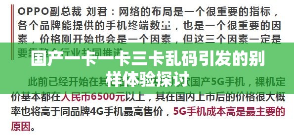 国产一卡一卡三卡乱码引发的别样体验探讨