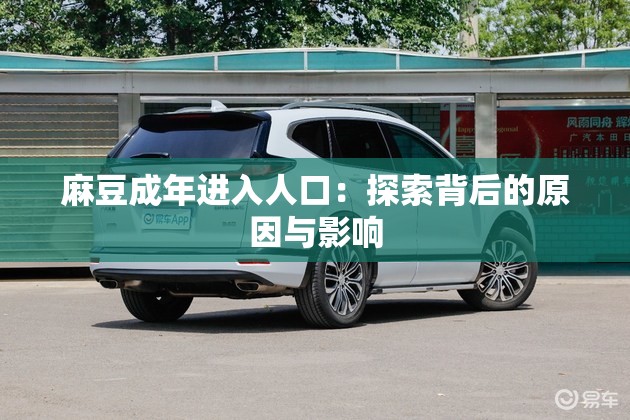 麻豆成年进入人口：探索背后的原因与影响