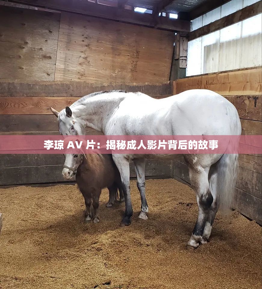 李琼 AV 片：揭秘成人影片背后的故事